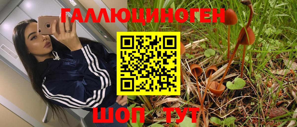 Псилоцибиновые грибы мухоморы  Вход с VPN  Псилоцибиновые грибы ЛСД  Пенза 