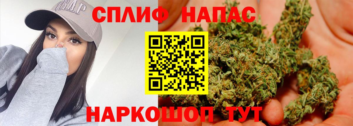 Бошки марихуана сатива Пенза